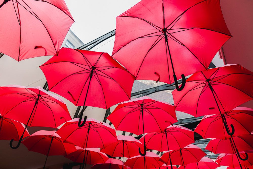 Red umbrellas on display at the exhibit.